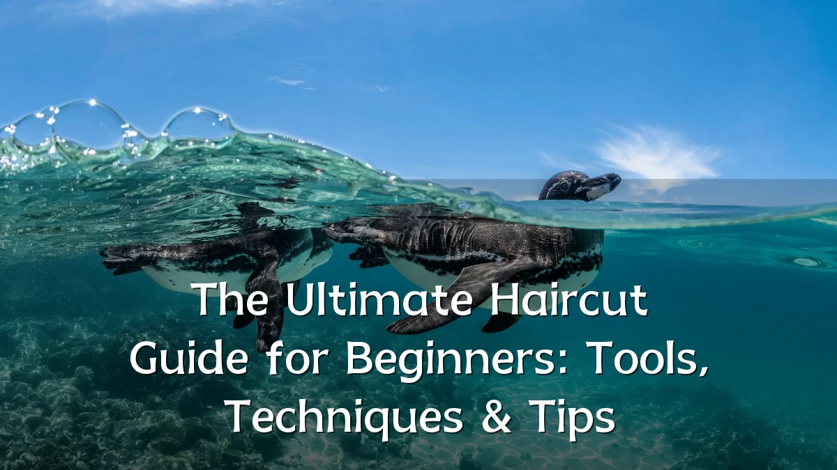 The Ultimate Haircut Guide for Beginners: Tools, Techniques & Tips