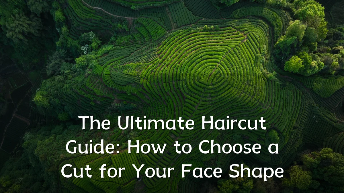 The Ultimate Haircut Guide: How to Choose a Cut for Your Face Shape