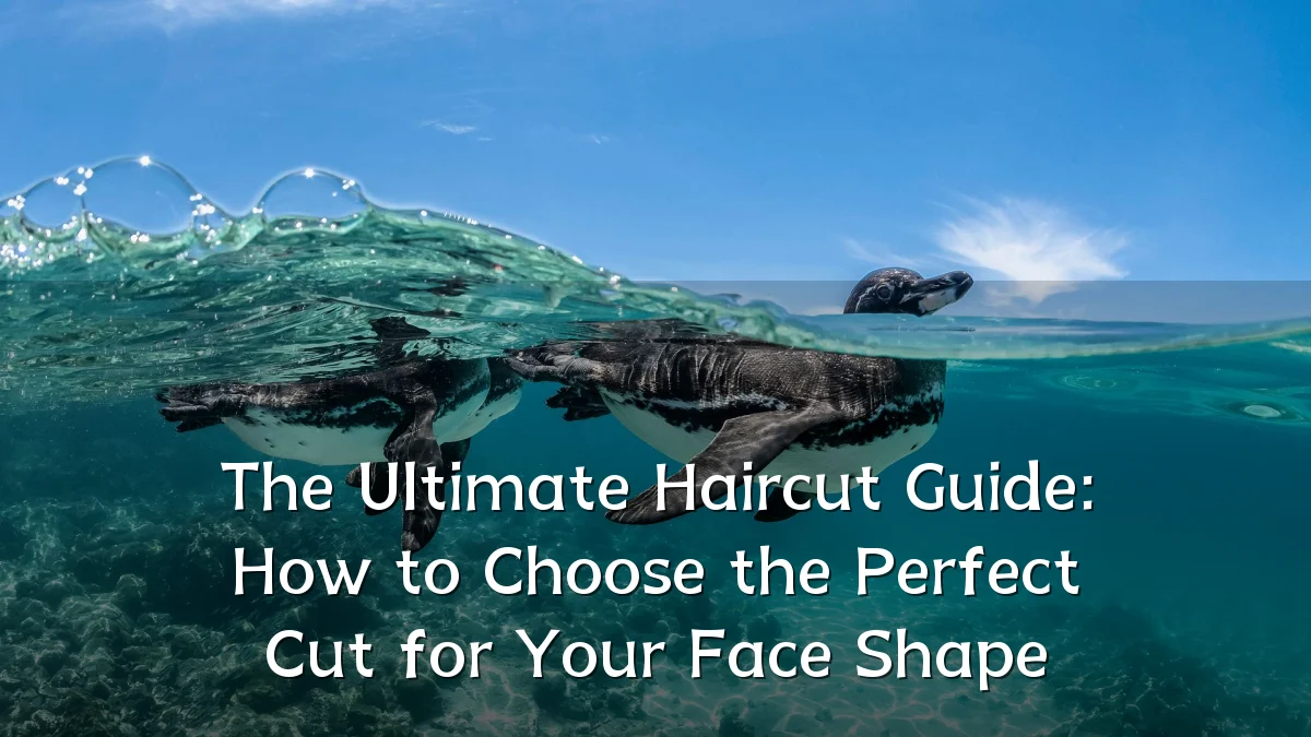 The Ultimate Haircut Guide: How to Choose the Perfect Cut for Your Face Shape