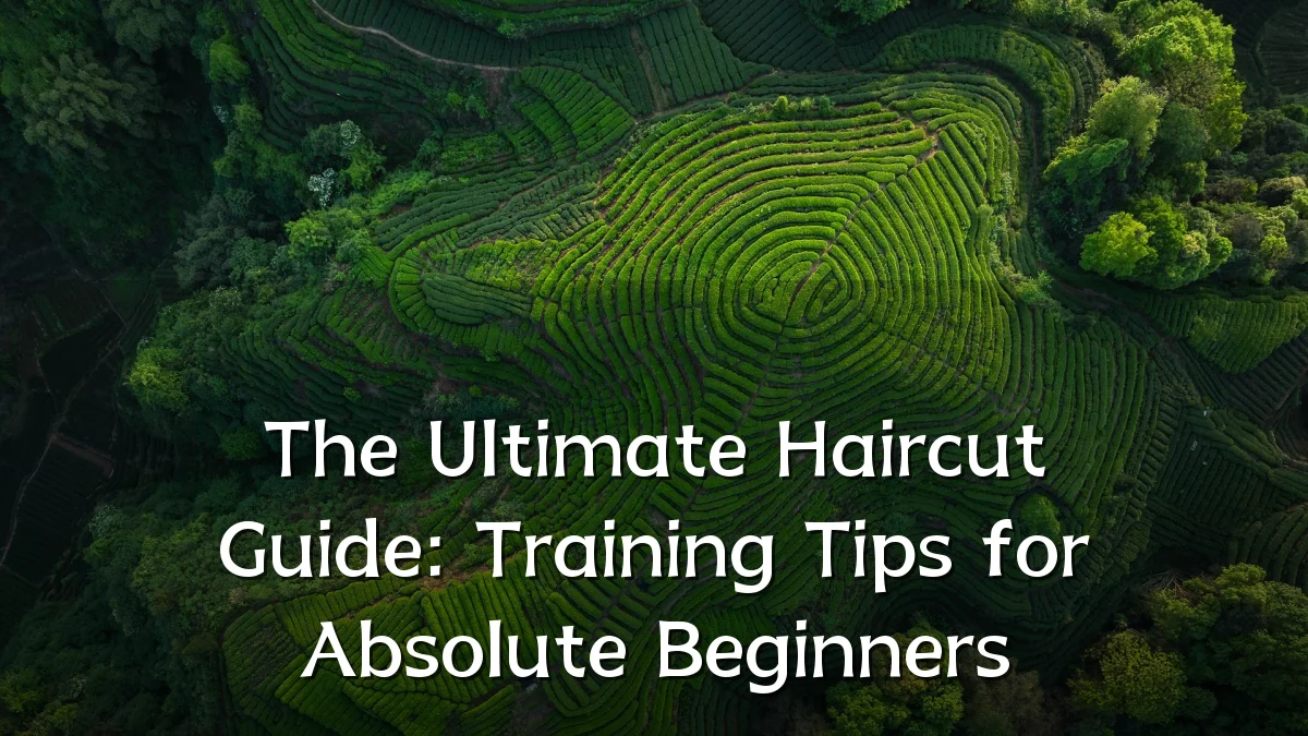 The Ultimate Haircut Guide: Training Tips for Absolute Beginners