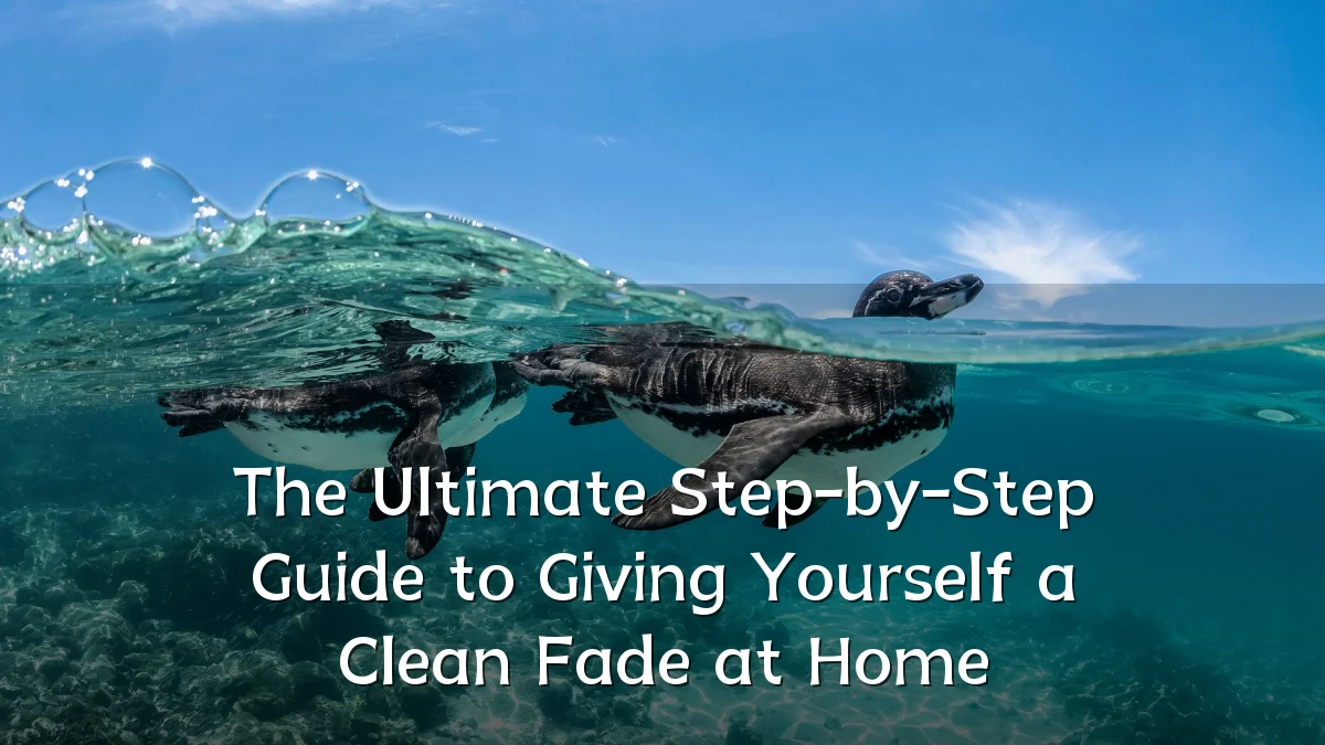 The Ultimate Step-by-Step Guide to Giving Yourself a Clean Fade at Home