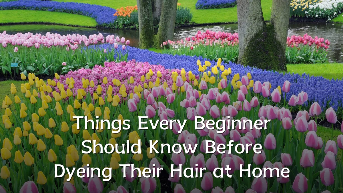 Things Every Beginner Should Know Before Dyeing Their Hair at Home