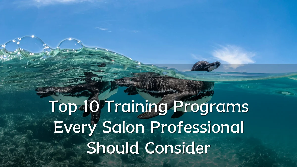 Top 10 Training Programs Every Salon Professional Should Consider