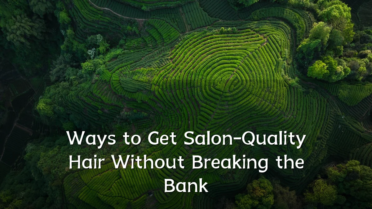 Ways to Get Salon-Quality Hair Without Breaking the Bank