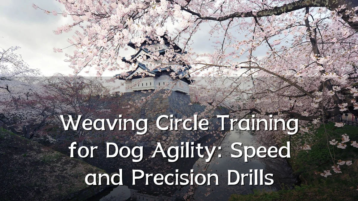 Weaving Circle Training for Dog Agility: Speed and Precision Drills